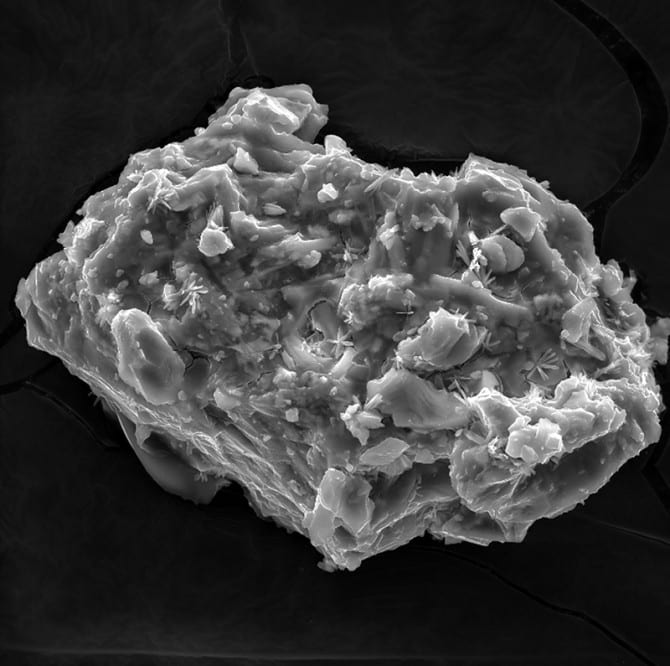 Volcanic ash is formed from minerals trapped in a silicate glass, as shown here under a microscope. Reactions with gases from the volcanic plume and atmosphere also form salt crystals on the ash surface, like these asterisk-shaped salts on an ash particle from the 2021 Tajogaite eruption on La Palma, in the Canary Islands, Spain.